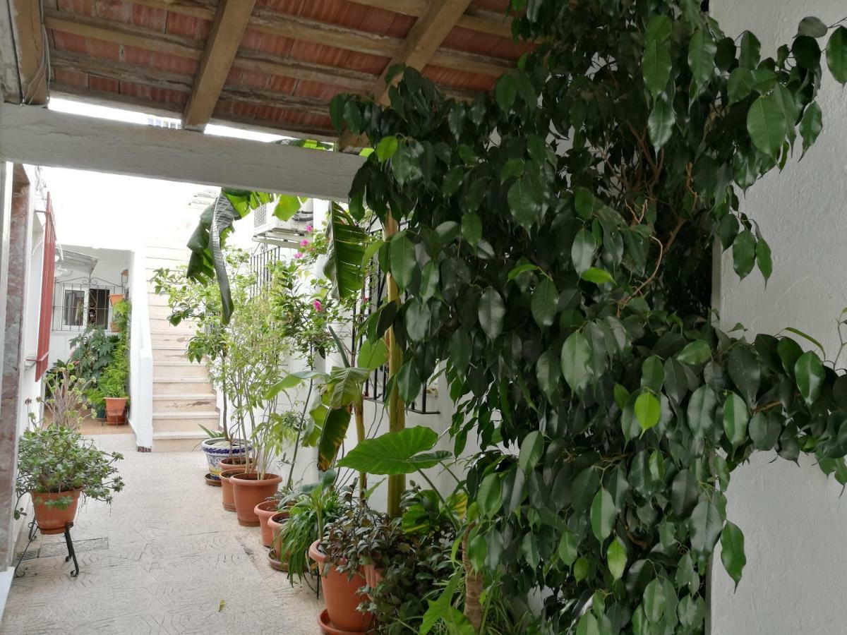 Casa Carmeleni - Ole Solutions Villa Jerez de la Frontera Bagian luar foto
